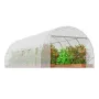 Walk-in Tunnel Greenhouse, 19.4x9.7x6.5 ft Hoop House Greenhouse Tunnel, Plant Hot House with Galvanized Steel Frame, White PE C