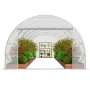 Walk-in Tunnel Greenhouse, 19.4x9.7x6.5 ft Hoop House Greenhouse Tunnel, Plant Hot House with Galvanized Steel Frame, White PE C