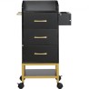 Beauty Salon Storage Trolley Cart, Glass Top Hair Salon Station Cabinet til stylist med skuffe og tørretumbler, MDF rullende