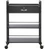 Beauty Salon Trolley Cart, 3-Tier Hair Salon Stations Cabinet til stylist med låsbar skuffe, MDF Rolling Storage Station