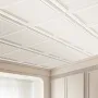 Ceiling Tiles, 96-Pack 20 x 20 in, Drop Ceiling Tiles Premium Polystyrene Sheet, Easy Installation/ Cutting Plastic Glue-up Ceil