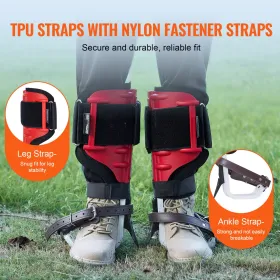 Dog Bike Trailer, Supports up to 66 lbs, 2-in-1 Pet Stroller Cart Bicycle Carrier, Easy Folding Cart Frame with Quick Release