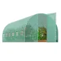 Walk-in Tunnel Greenhouse, 19.4x9.7x7.4 ft Hoop House Greenhouse Tunnel, Plant Hot House with Galvanized Steel Frame, Green PE C