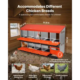 Chicken Nest Box, 10-Compartment, 30 to 45 in Stable & Corrosion-Resistant Metal Nesting Boxes with Inclined Nesting Boxes, Bott