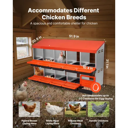 Chicken Nest Box, 10-Compartment, 30 to 45 in Stable & Corrosion-Resistant Metal Nesting Boxes with Inclined Nesting Boxes, Bott