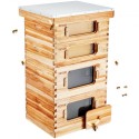 Bee Hive 40 Frame Bee Hives Starter Kit, Beeswax Coated Cedar Wood, 2 Deep + 2 Medium Bee Boxes Langstroth Beehive Kit,