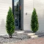 2-pak 1,5 m kunstig cedertræ topiary træ kunstig plante