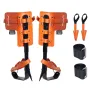 Træbestigningspikes klatring Spurs Alloy Steel Arborist