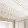 Ceiling Tiles, 16-Pack 20 x 20 in, Drop Ceiling Tiles Premium Polystyrene Sheet, Easy Installation/ Cutting Plastic Glue-up Ceil
