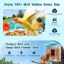 Smart Bird Feeder with Camera, 2K HD AI Identify 10000+ Bird Species, Solar-Powered Bird Watching Camera with Auto Capture & Ins