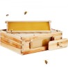Bee Hive Langstroth Medium Beehive Kit 10 Frames Acrylic Bee Windows