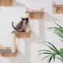 Vægmonterede kattehylder, træ med hoppebrætter, redemøbler, sæt