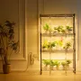 Indendørs drivhus med vækstlys 4 niveauer 180W 59,1"