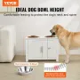 Kæledyrsfodringstation m/ 2 forhøjede hunde skåle hundefoder og