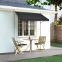 138 x 47" Patio Awning Retractable, Awning Sunshade Shelter with Manual Crank Handle, Outdoor Patio Canopy Sunsetter Deck, Adjus