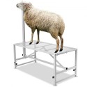 Livestock Stand Goat Trimming Stand 21"-33" Height 51x23 in Tabletop White