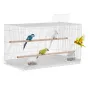 Bird Flight Cage 18 i små metal parakeet bur til cockatiels