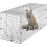 Live Animal Cage Trap 50 "X 20" X 26 "Humane Cat Trap Cats Squirrels Mouse