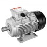 2.2KW Electric Motor 2890RPM AC 400V 50Hz 4.7A 3-Phase 24mm Keyed Shaft
