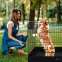 Dog Playpen 4 paneler sammenfoldelig metalhundøvelse med