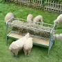 Livestock Hay Feeder, 2 in 1 Grain & Hay Feeder, 80-Gallon Capacity Pasture Feeder, 59" Long Goat Hay Feeder with Deeper Feeding