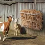 Husdyrhøfeeder 18,5 gallon vægmonteret gedhøstativ til heste