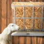 Goat Hay Feeder, 21 Gallons Large Capacity, 2 in 1 Hay and Grain Feeder, Wall Mounted Livestock Feeder with Feed Tray, Multiple 