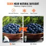 Softbox Lighting Kit 24 i x 24 i 30W 5500K LED -pærer Justerbar