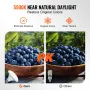 Softbox Lighting Kit 50x70 cm / 20x28 in 30W 5500K LED Bulbs Adjustable Stand