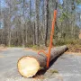 Cant Hook Tool, 59 in, Heavy Duty Steel Log Roller, Log Lifter Timber Jack for Max 32" Dia Logs, Forestry Logging Tools, Dual Fu