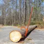 Log Peavey, 46.5 in, Wooden Handle Log Lifter, Heavy Duty Log Roller with Max 18 in Opening, Rust-Resistant Log Jack Cant Hook, 
