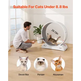 Elektrisk indkapsling, 24 \'\' x 24 \'\' x 12 \'\', UL Certified Nema 4 Udendørs kabinet