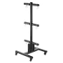 Weight Plate Rack, Vertical Weight Plate Tree for 2-Inch Weight Plates, Standard Weight Plate Tree with Wheels, 1000 lbs Load Ca