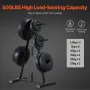 Weight Plate Rack, A Frame Weight Plate Tree for 1-Inch Weight Plates, Standard Weight Plate Tree, 500 lbs Load Capacity Weight 