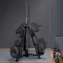 Weight Plate Rack, Weight Plate Tree for 2-Inch Weight Plates, Standard Weight Plate Tree, 300 lbs Load Capacity Weight Storage 