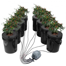 DWC Hydroponics vokser system Deep Water Culture 8 spande med luftpumpe