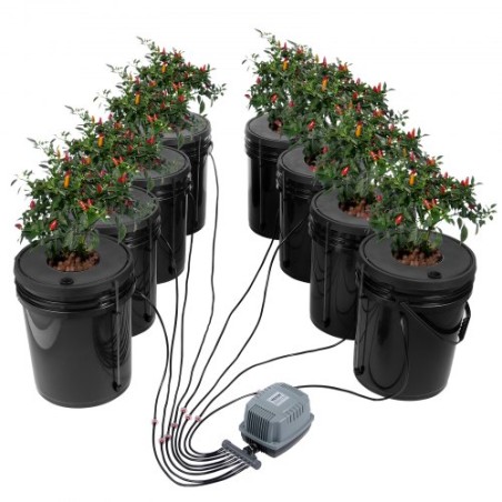 DWC Hydroponics vokser system Deep Water Culture 8 spande med luftpumpe