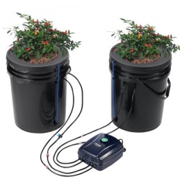 DWC Hydroponics Grow System Deep Water Culture with Top Drip 2 Buckets