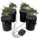 DWC Hydroponics Grow System Deep Water Culture 4 Buckets with Air Pump