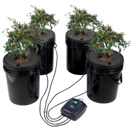 DWC Hydroponics vokser system Deep Water Culture 4 spande med luftpumpe