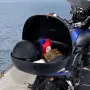 Motorcycle Top Case, Universal Durable PP Material Motorbike Tail Box with Reflective Panel, 62L Waterproof Detachable Motorcycl
