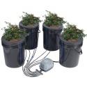 DWC Hydroponics Grow System Deep Water Culture with Top Drip 4 Buckets