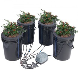 DWC Hydroponics Grow System Deep Water Culture with Top Drip 4 Buckets