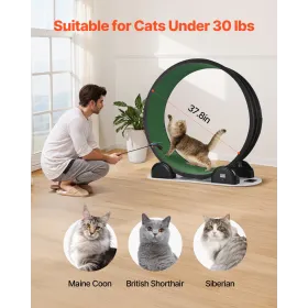 Lineær aktuator 12V 6inch 0,55 "/s Højhastighed 220 lbs/1000N IP54 Beskyttelse