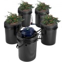 RDWC Hydroponics System Recirculating Deep Water Culture 4 spande 5 gal