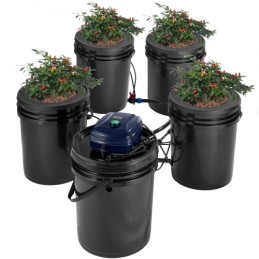 RDWC Hydroponics System Recirculating Deep Water Culture 4 spande 5 gal