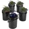 RDWC Hydroponics System Recirculating Deep Water Culture 4 Buckets 5 Gal