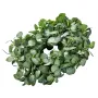 Artificial Decorative Wreath, 26 in, Green, Decorated with Eucalyptus Leaves, Berries, Thorny Stems, Year Round Wreath for All S
