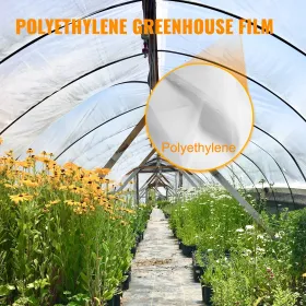Greenhouse Film, Greenhouse Polyethylene Film 24x50 ft Greenhouse Plastic
