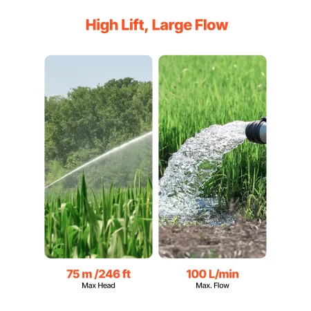 Deep Well Submersible Pump, 1100W Input Power, 230V, 100 L/min Flow 75 m(246 ft) Head, with 20 m(65.62 ft) Cord, Stainless Steel